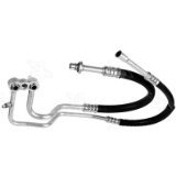 Manifold Hose Assembly - 08-10551