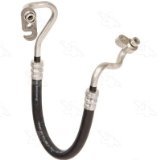 Discharge Hose - 08-11202