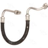 Discharge Hose - 08-11255