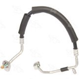 Discharge Hose - 08-11461