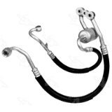 Manifold Hose Assembly - 08-5584