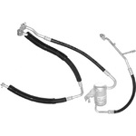 Manifold Hose Assembly - 08-10392