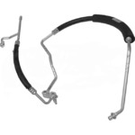 Manifold Hose Assembly - 08-10605