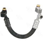 Discharge Hose - 08-1963