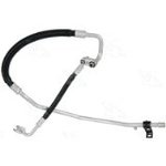 Manifold Hose Assembly - 08-1970