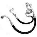 Manifold Hose Assembly - 08-5584